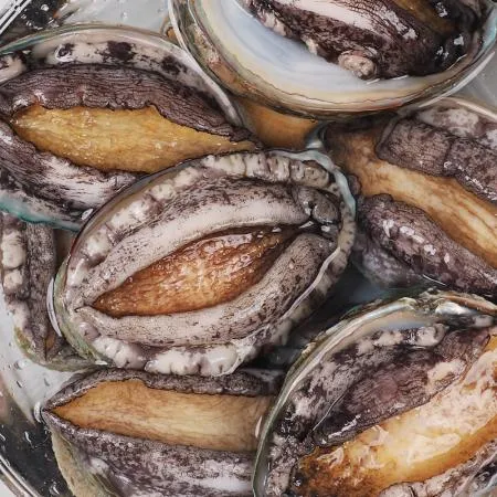 [산지직송] 완도 활전복 1kg (12~13미) 산소포장 