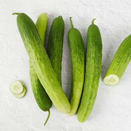 산지직송 백다다기오이 10kg (상)