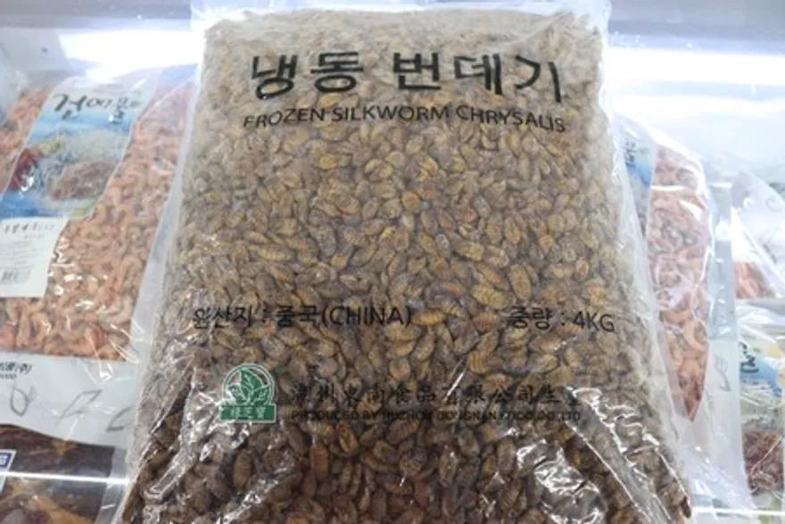 냉동번데기 중국산 4kg 이미지