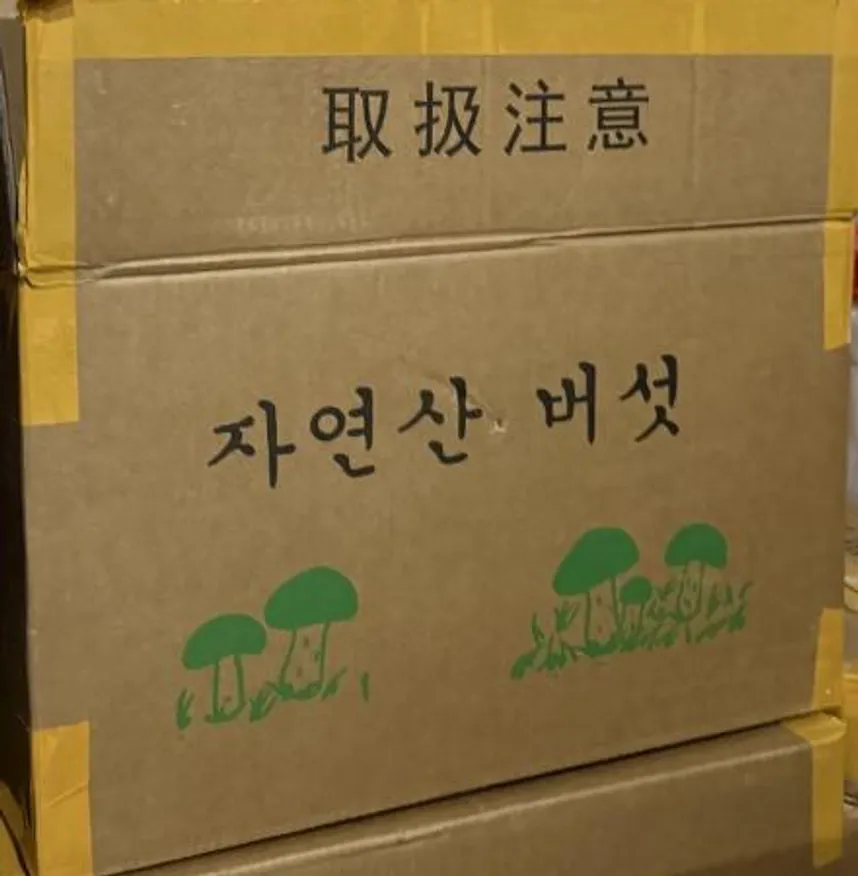 의림푸드 자연산 냉동 (티벳산) 능이버섯 (특품 / 냉동) 1kg 이미지