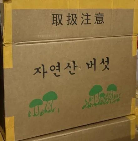 의림푸드 자연산 냉동 (티벳산) 능이버섯 (특품 / 냉동) 1kg 이미지