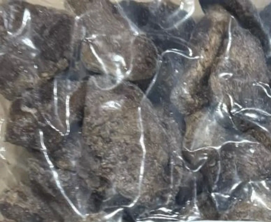 의림푸드 자연산 냉동 (티벳산) 능이버섯 (특품 / 냉동) 1kg 이미지