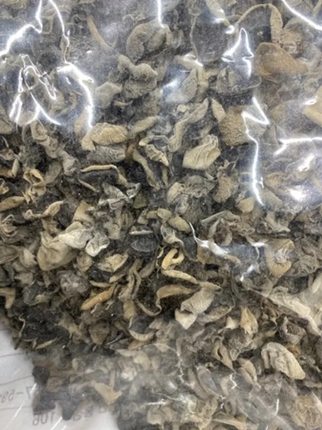 목이버섯 한잎목이 손질목이 1kg 이미지