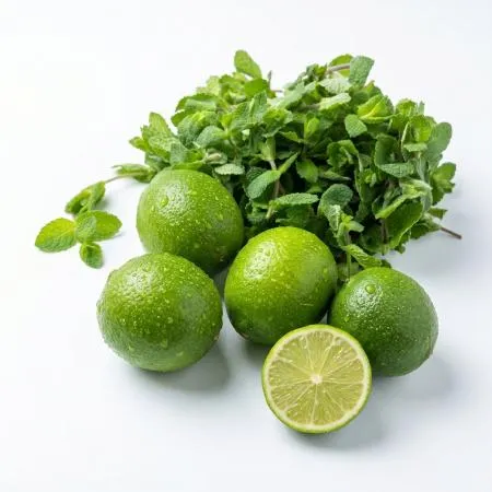 모히또 450g 세트(라임 5개+애플민트 50g) 
