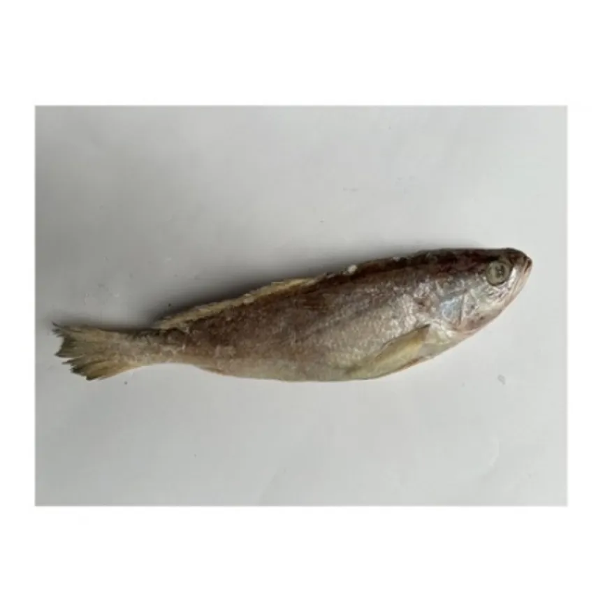 민어조기(100-150g/인도산)1마리 이미지
