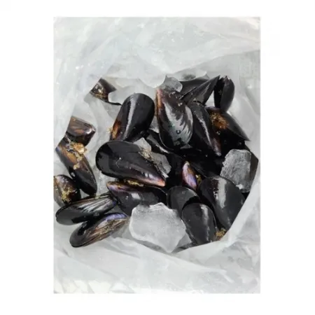홍합(겉손질/냉장/알중/국산)1kg