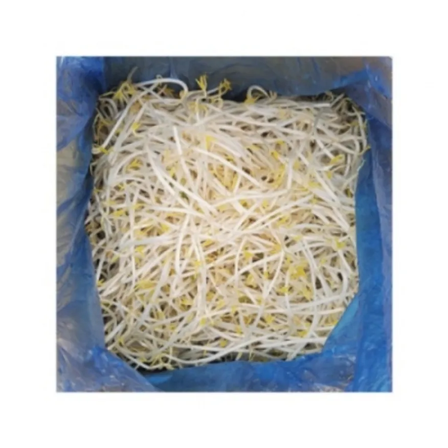 숙주나물(굵은것/중국산)3.5kg 이미지