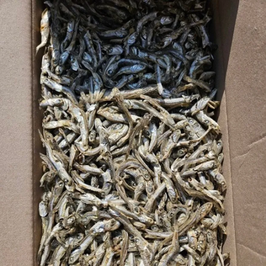 고바멸치(주흥/1.5KG/국내산/냉동)ea 이미지