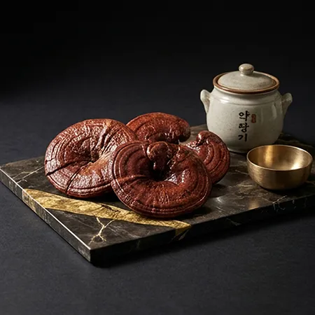 유기농 농장직송 문상영 영지버섯 절편500g 비닐팩 이미지