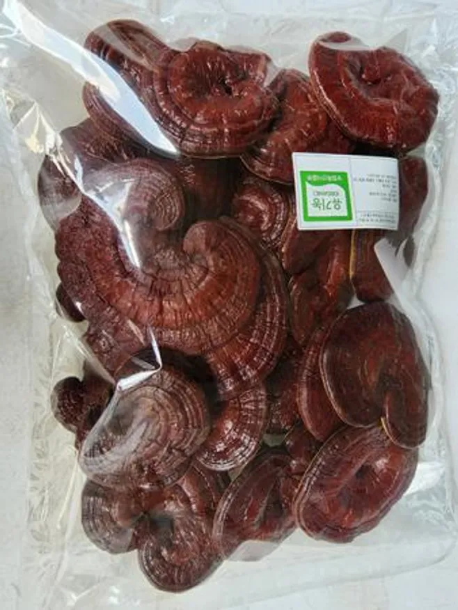 유기농 농장직송 문상영 영지버섯 절편500g 비닐팩 이미지