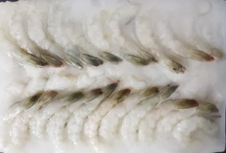다이아몬드 PDTO 탈각새우 21/25 (1.8kg 블럭) 냉동 머리짤린 새우 이미지