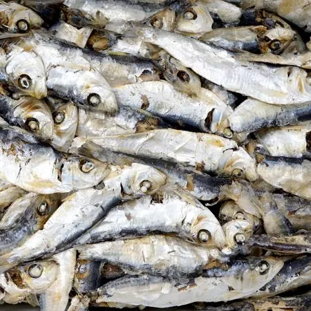 디포리(국물용) 1.5kg (베트남산) 이미지