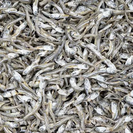 [반찬]가이리멸치 1.5kg (국내산) 이미지