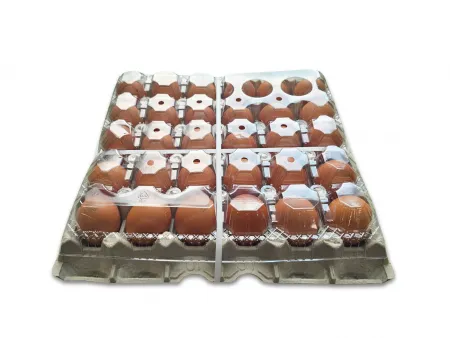 대란30구/5판(58g*30입 1,740g)