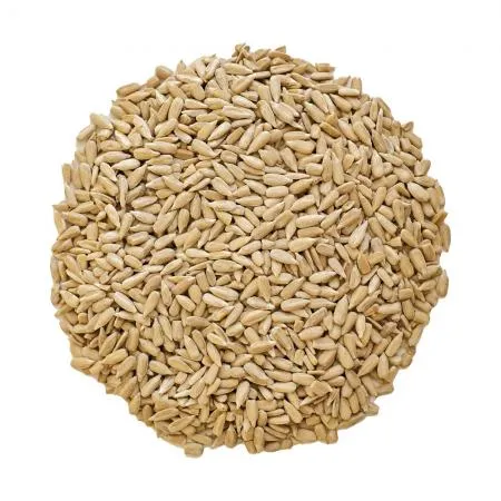 해바라기씨 1kg 불가리아산  이미지