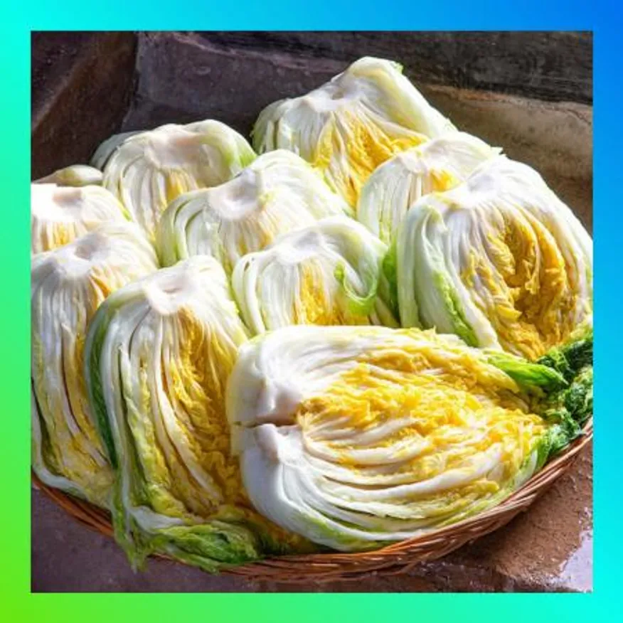 국내산 절임배추 20kg 이미지