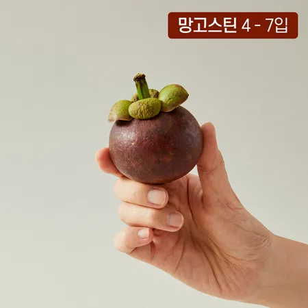 [수플린] 태국 망고스틴 480g (4~7입/망)