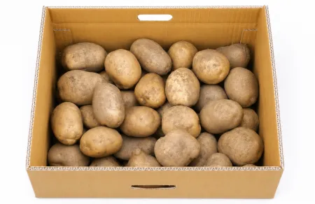 왕사이즈 국내산 감자  5kg