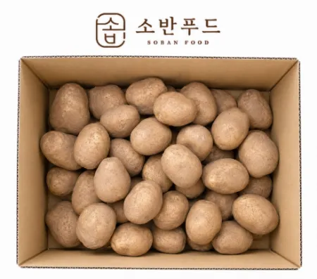 왕특 사이즈 감자 20kg (20KG/1박스) 국내산