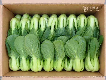 산지직송 국내산 청경채 4kg