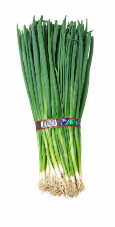⭐️산지직송 실파 [500g/EA] 국내산⭐️