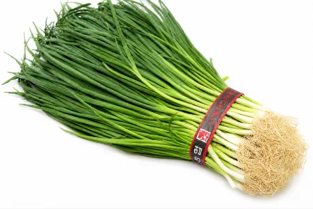 산지직송 실파 [500g/EA] 국내산 