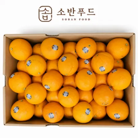 호주산 오렌지 88과 (17KG/1박스) 생과용