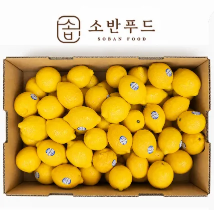 칠레 레몬 140과 (17KG/1박스) 생과용
