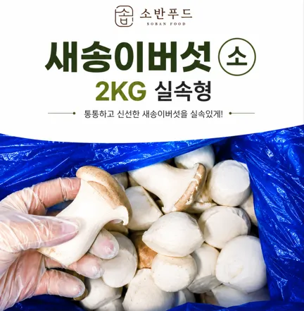 ⭐️국내산 새송이버섯(소) 실속형 2KG/BOX ⭐️