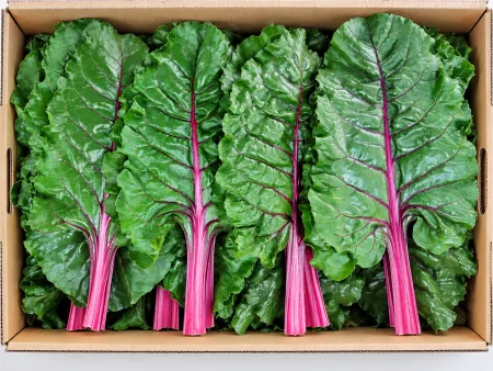 국내산 적근대 (2kg/BOX)