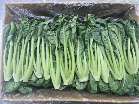 비타민 2KG(상,박스) 이미지