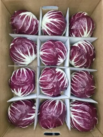 라디치오(박스/4kg내외/국내산)