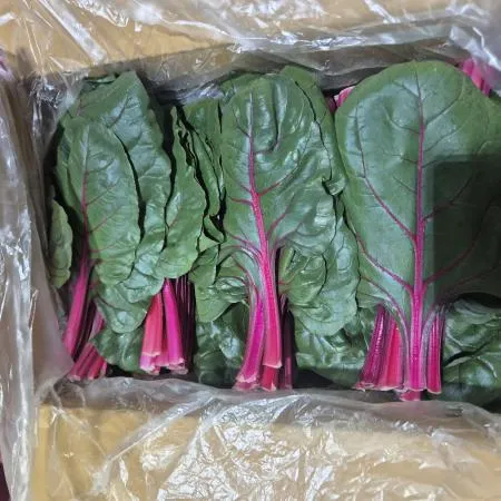 적근대 2KG(특,박스)