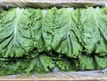 로메인 2KG(상,박스)