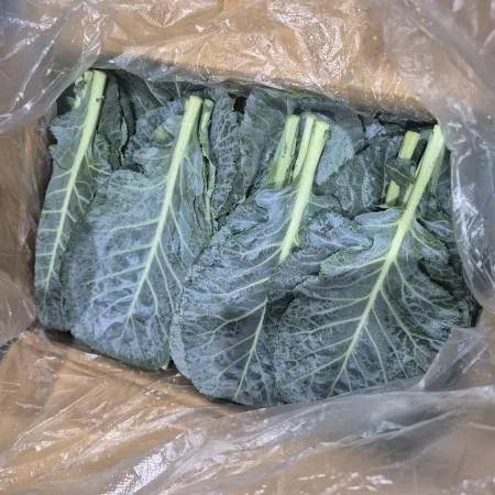 케일 2KG(특,박스)