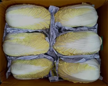 알배기배추 7KG~8KG(특,박스)