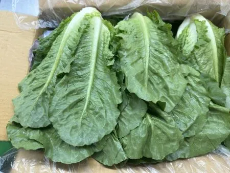 통로메인 2KG(상,박스) 이미지