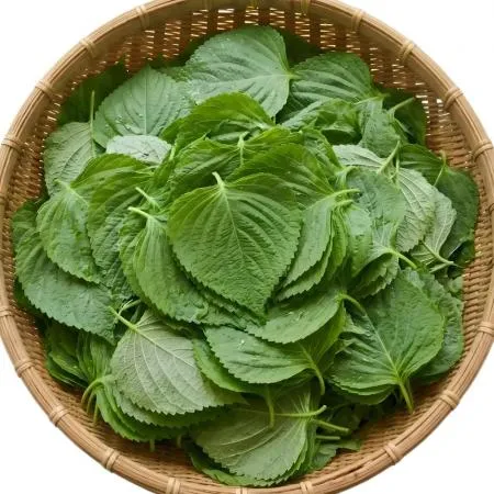 깻잎순 4kg 국내산 1박스 이미지