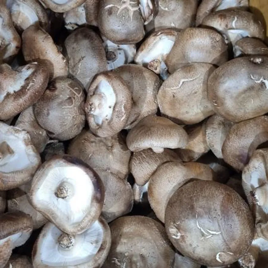 표고버섯 상 10kg 1박스 이미지