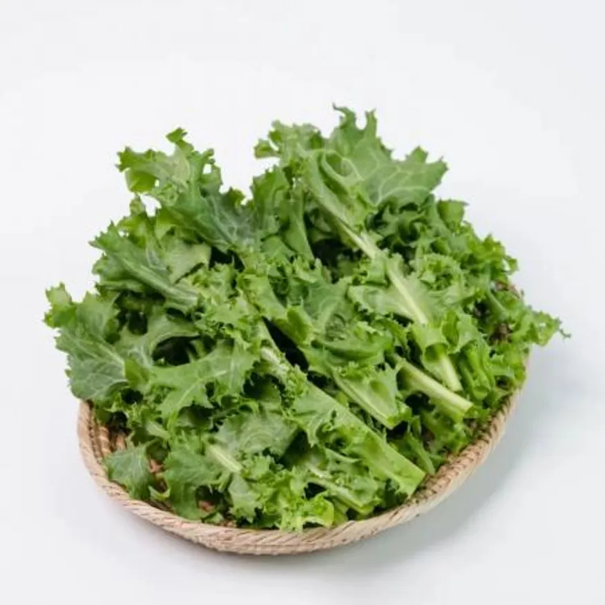 치커리 2kg 국내산 1박스 이미지