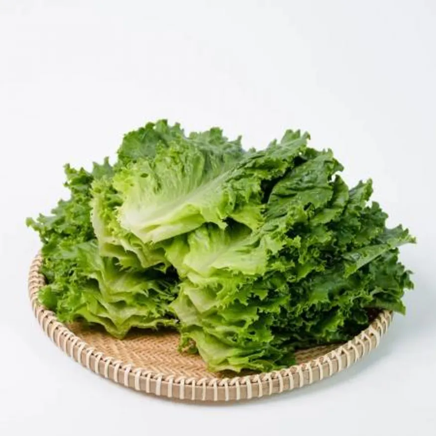 청상추 2kg 국내산 1박스 이미지