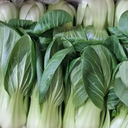청경채 상 4kg 국내산 1박스