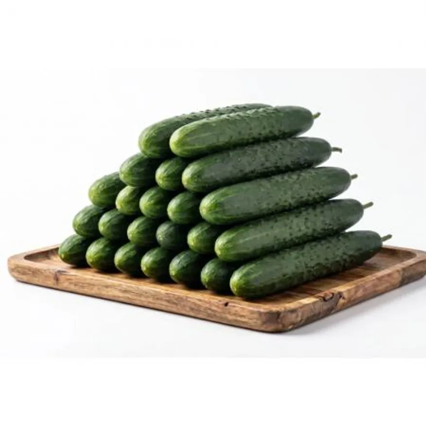 취청오이 상 10kg 국내산 1박스 이미지