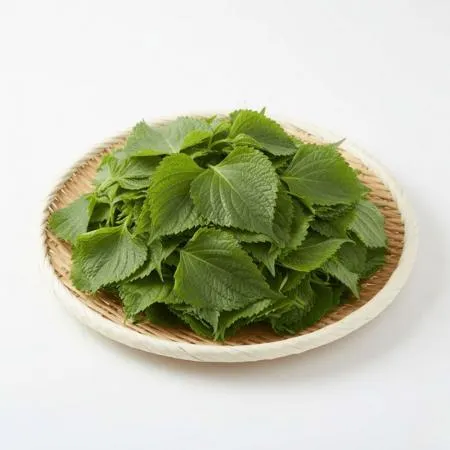깻잎순 4kg 국내산 1박스