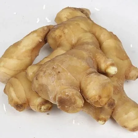 신선생강 5kg