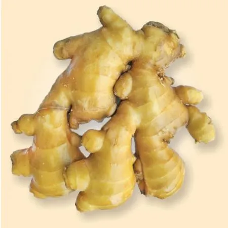 신선생강 1kg