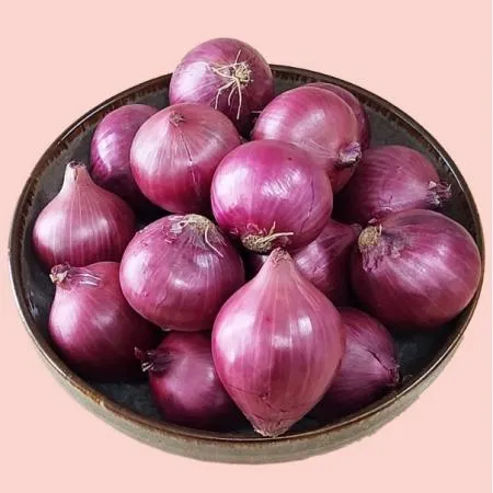 신선 샬롯(shallot)10kg