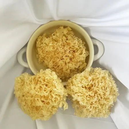 백목이버섯 1kg 은이버섯 흰목이 이미지