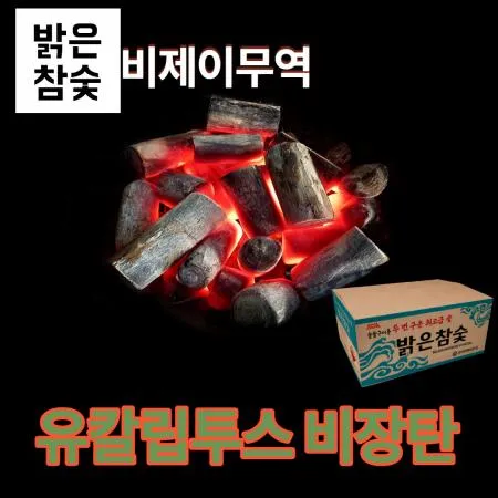[비제이무역 밝은참숯] 유칼립투스 비장탄 (사이즈 M+) 이미지