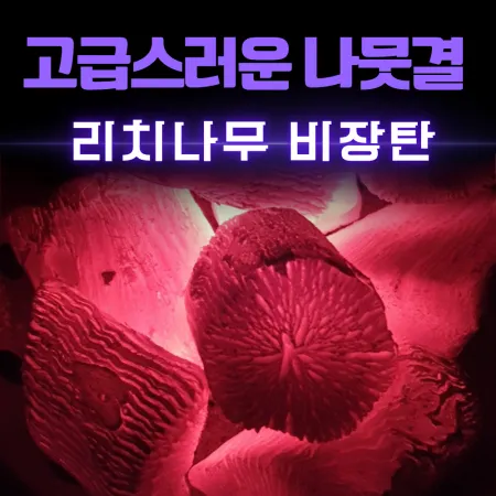 [비제이무역 밝은참숯] 리치나무 비장탄 (사이즈 S)